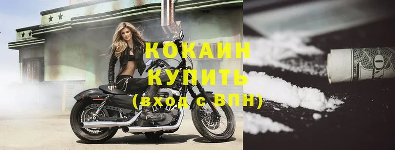 купить   MEGA ССЫЛКА  Cocaine Fish Scale  Власиха 